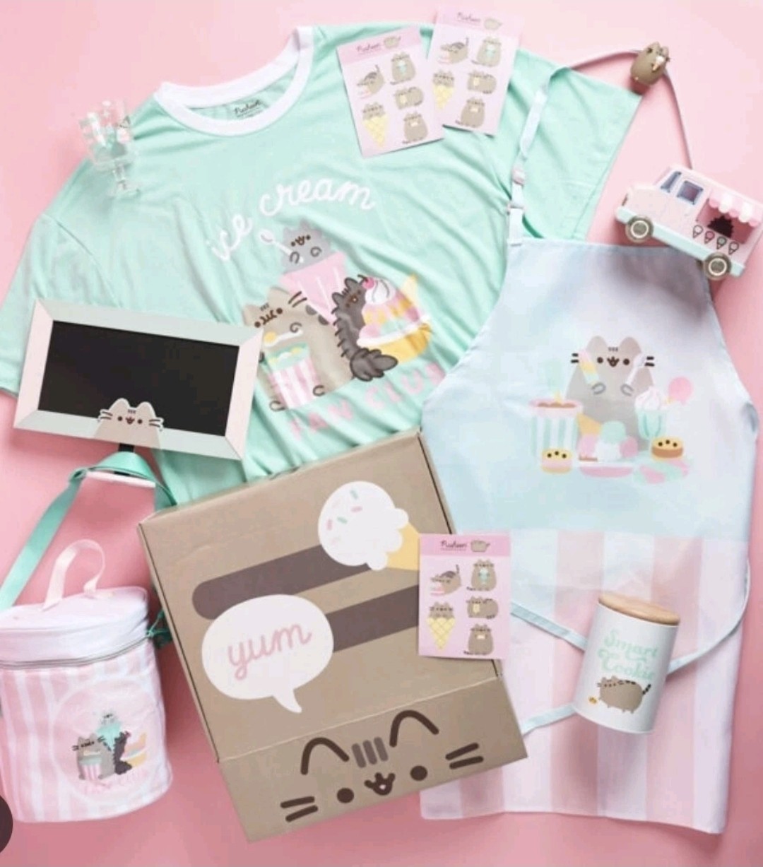 Pusheen Box Ice Cream Fan Club🍦  Summer 2021 size XL NEW Exclusive 