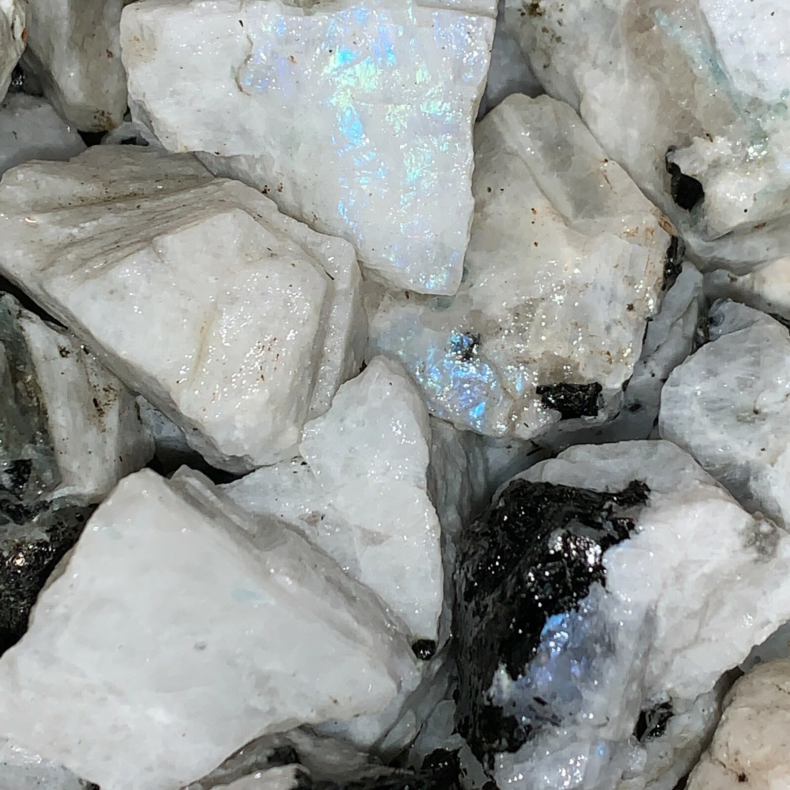 3000 Carat Lots of Natural Rainbow Moonstone Rough + a Nice FREE faceted Gems