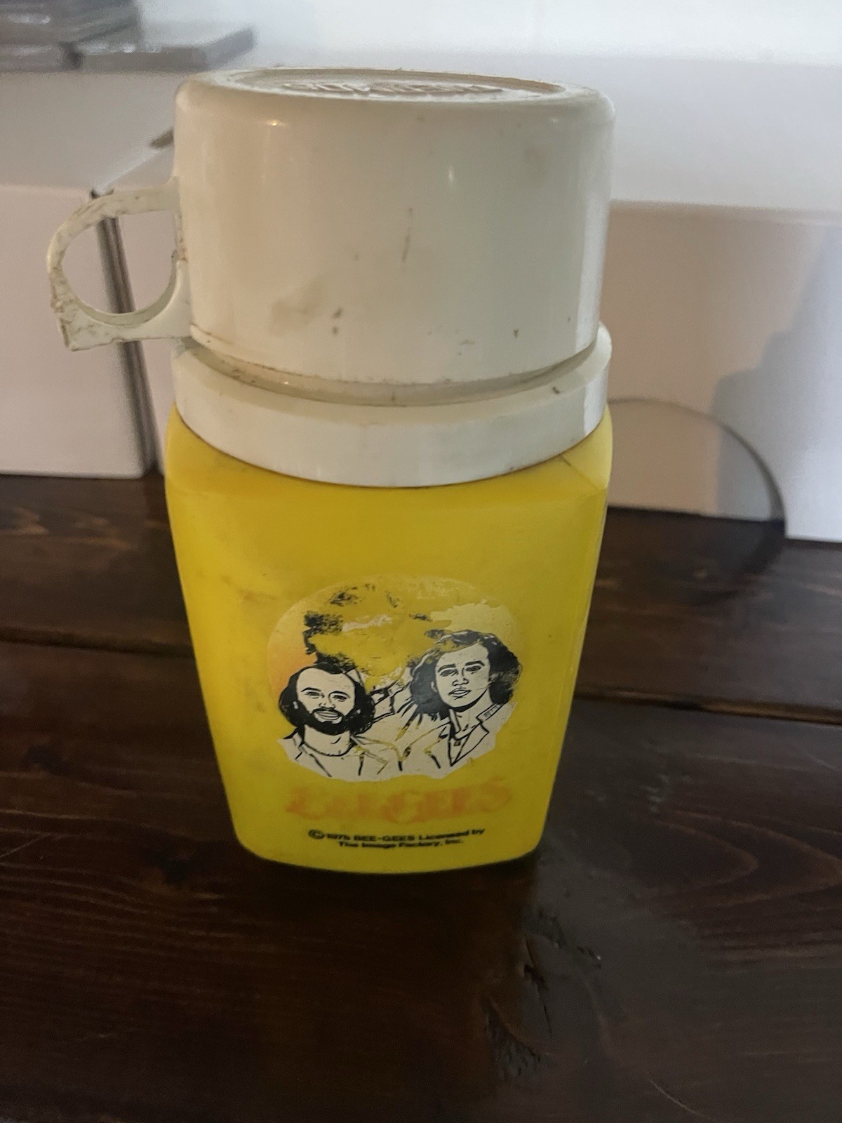 Bee Gees 1978 Vintage Thermos 