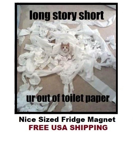 851 - Funny Cute Cat Meme Fridge Refrigerator Magnet