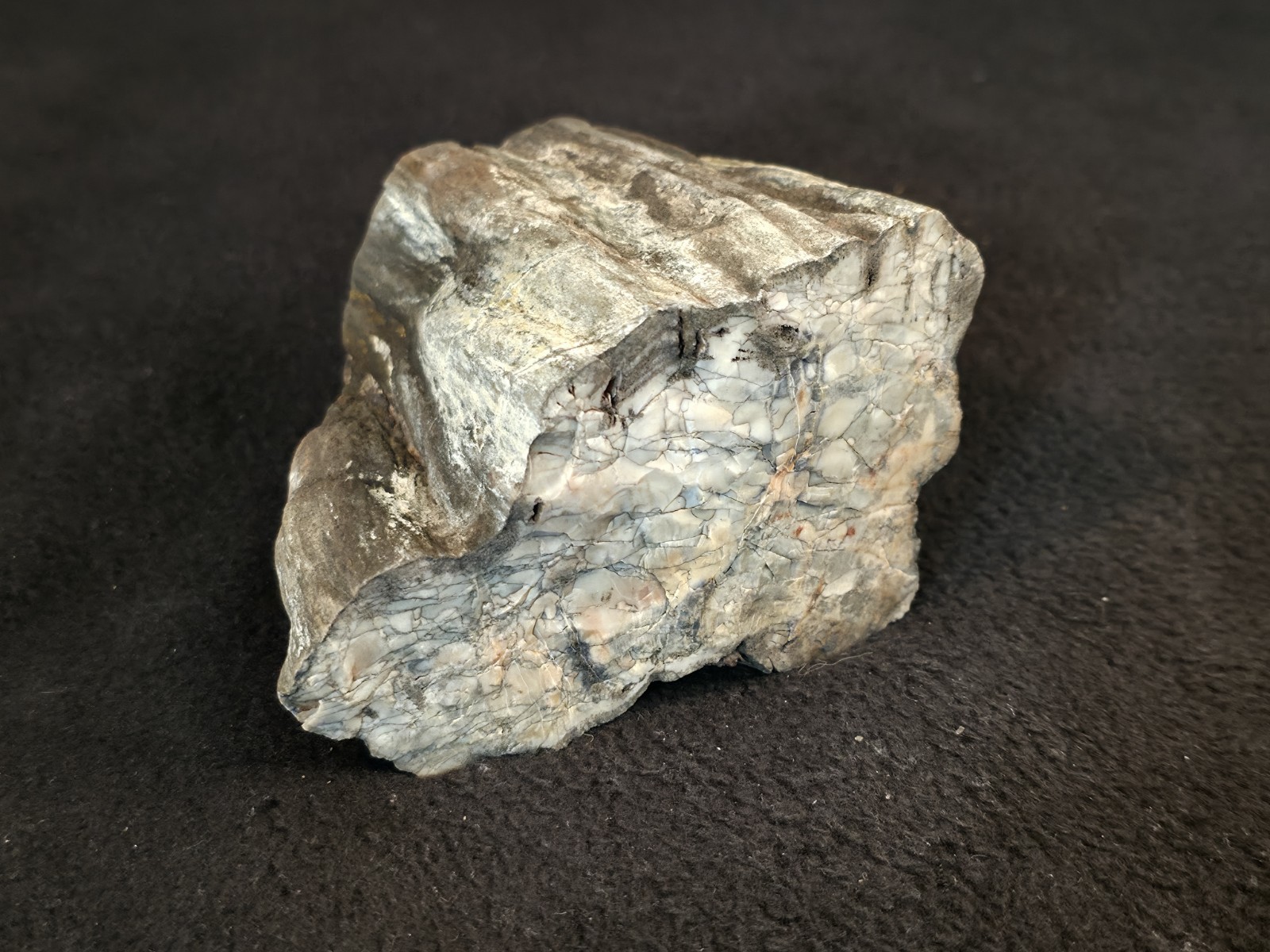 1lb 6oz Black Bark Petrified Wood Found In Northeastern Arizona