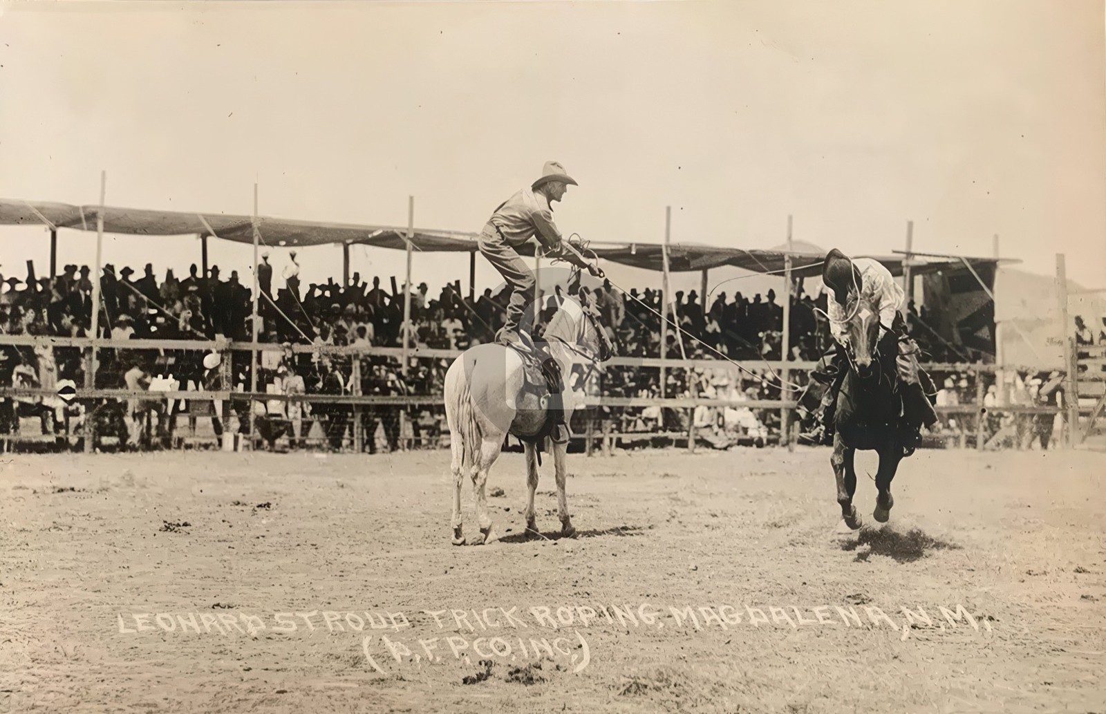 Leonard Stroud Cowboy Trick Rider Horse Rodeo 1920s RPPC Photo Postcard COPY