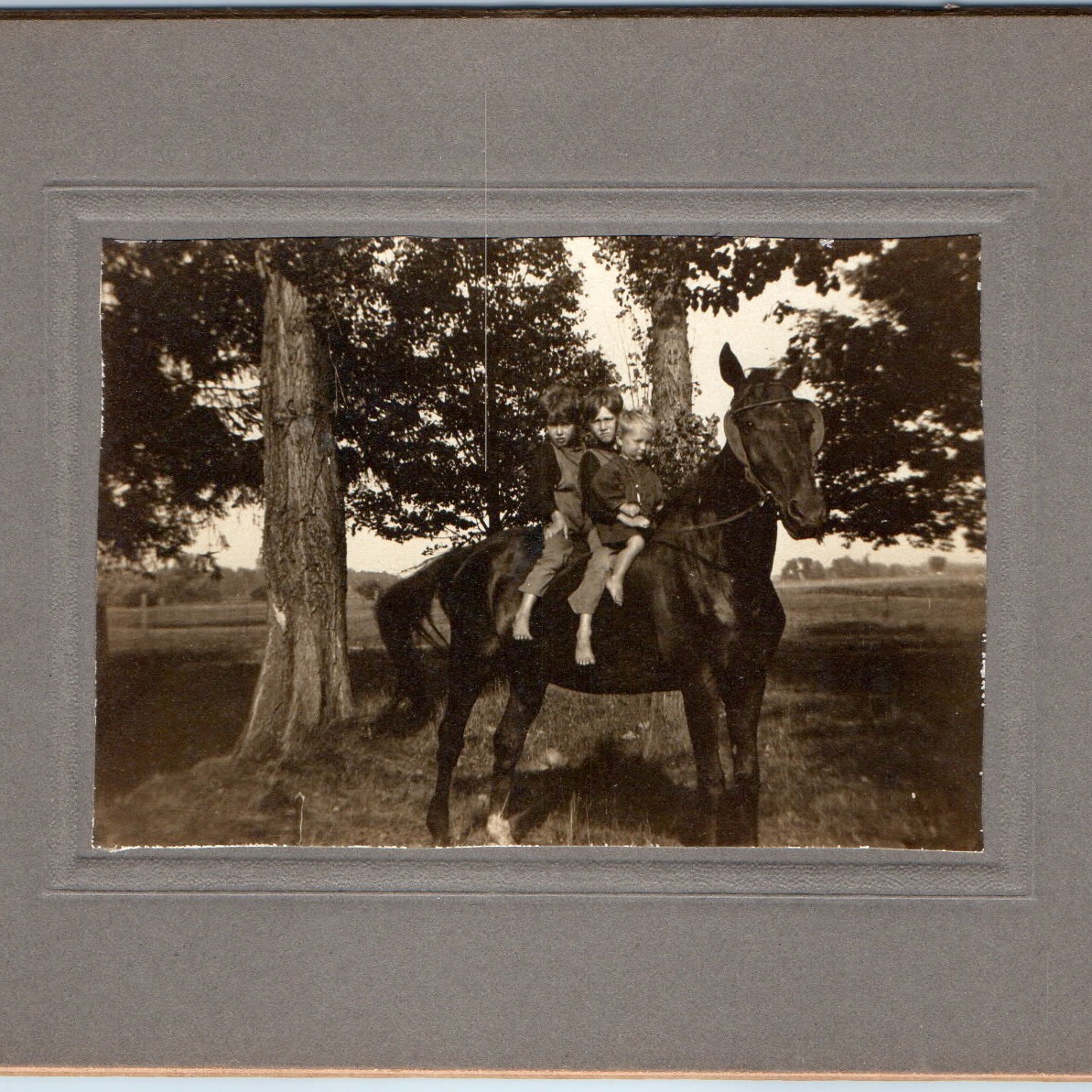 c1910s Cute Siblings Riding Giant Work Horse Barefoot Rural Farm Boys Photo 5\