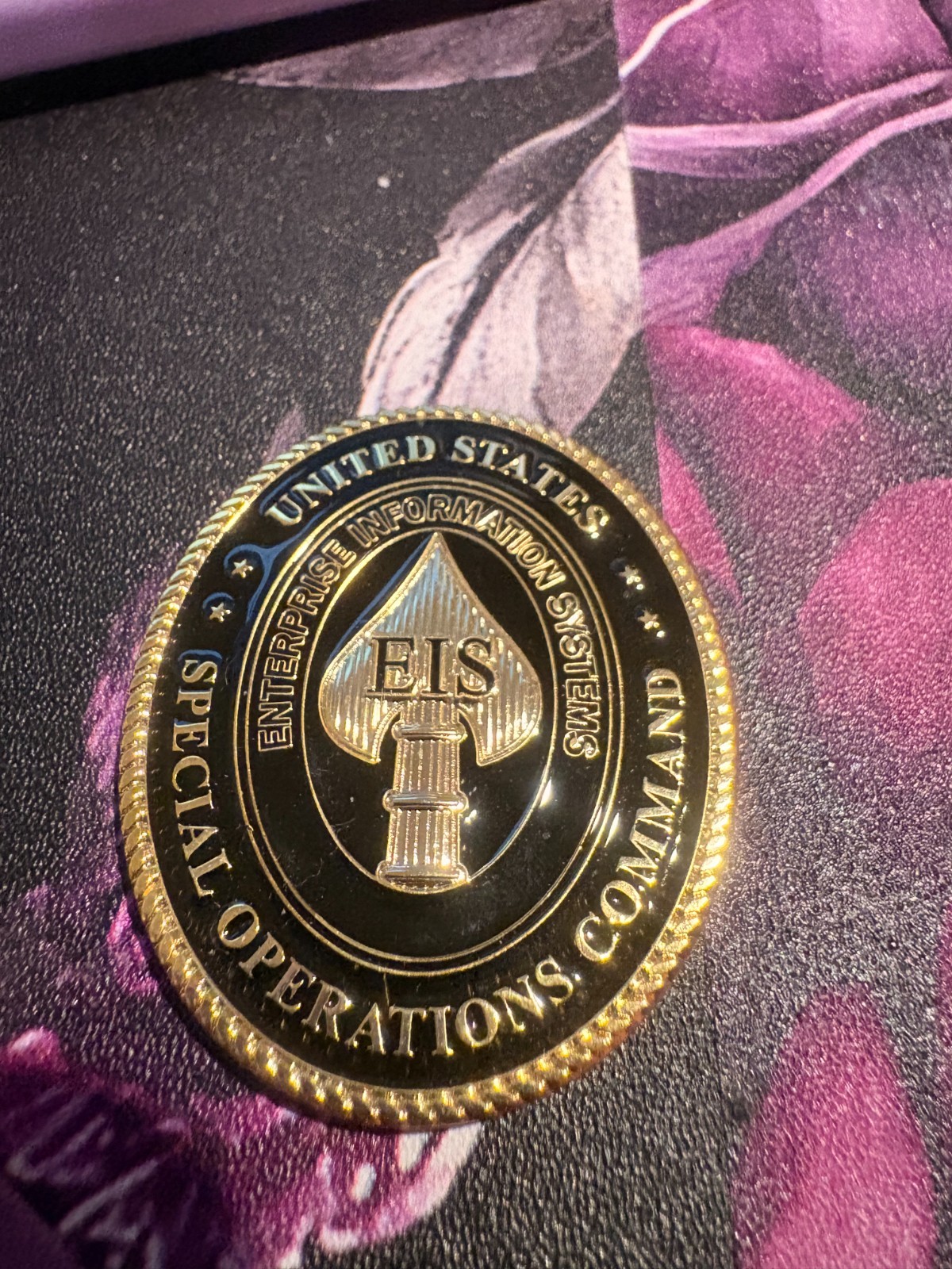 United States Special Operations Command Enterprise Information Systems coin