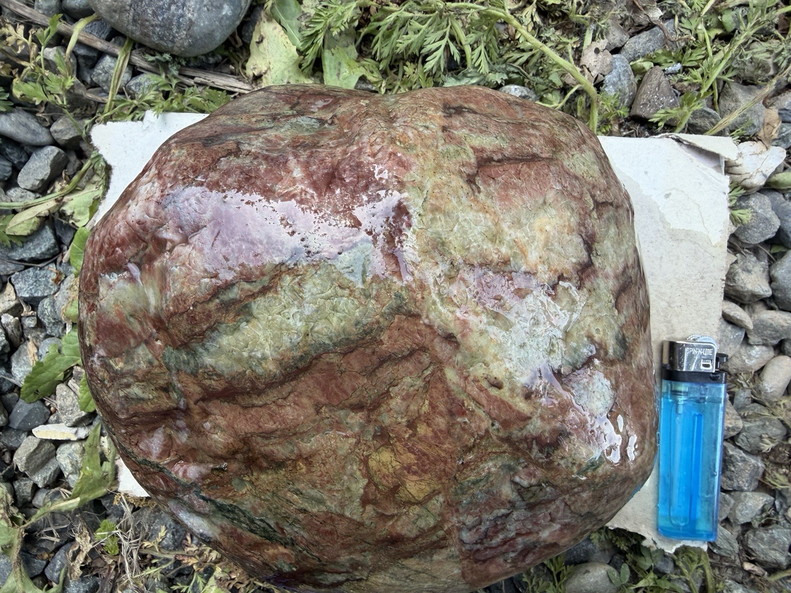 Massive California Serpentine Breccia•Jade-Like Green+Red Natural Display Stone