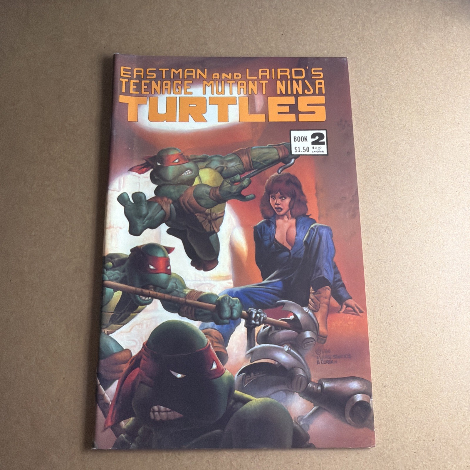 Teenage Mutant Ninja Turtles #2 3rd Print Mirage Studios 1986 Higher Grade