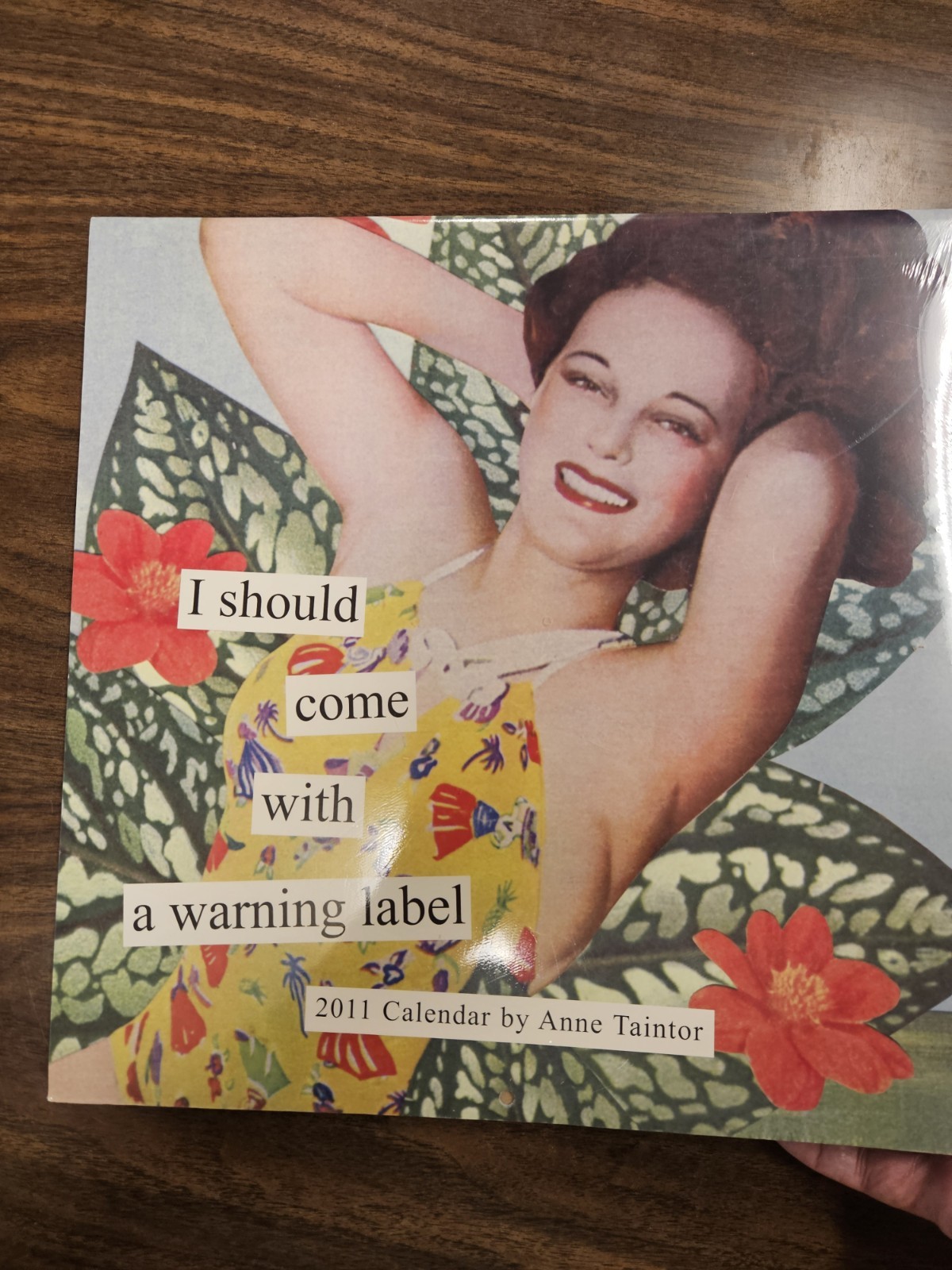I Should Come With a Warning Label 2011 Calendar by Ann Taintor