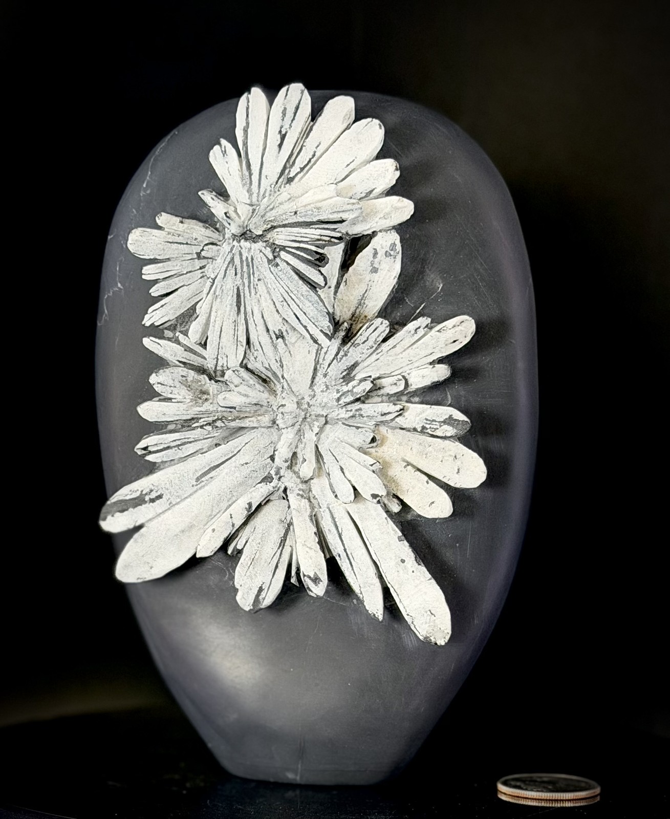 Chrysanthemum Stone Free Form Sculpture — Twin Daisy Blossoms in High Relief,...