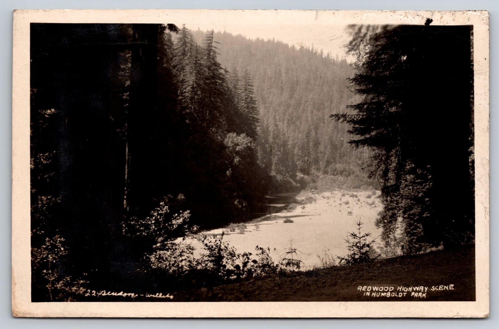 RPPC Redwood Highway  Humboldt Park  California   Postcard