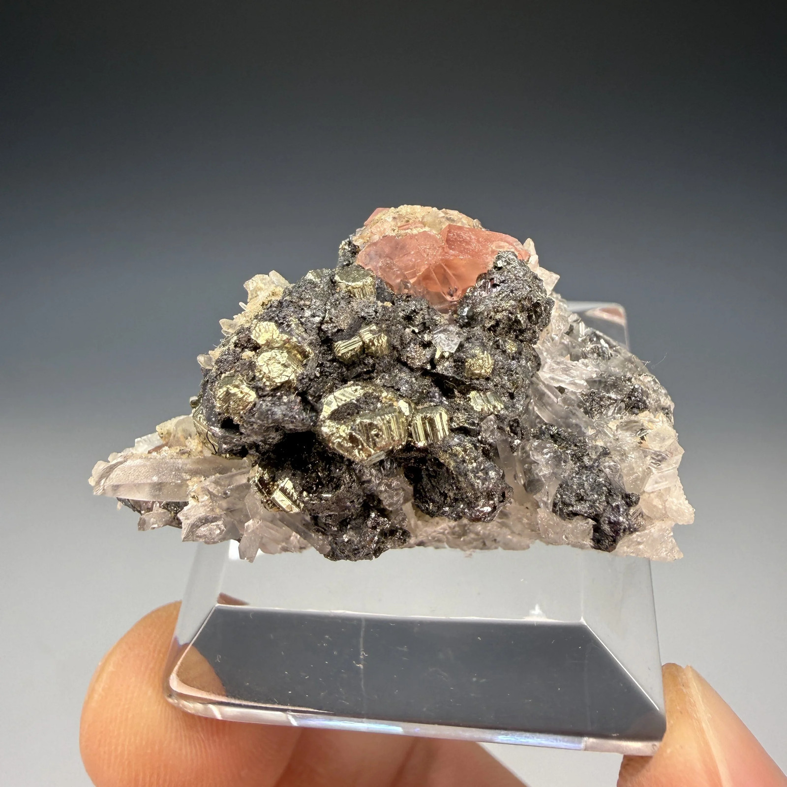 Rhodochrosite, Quartz, Pyrite, Tetrahedrite, Sweet Home Mine, Alma Mining Dist.