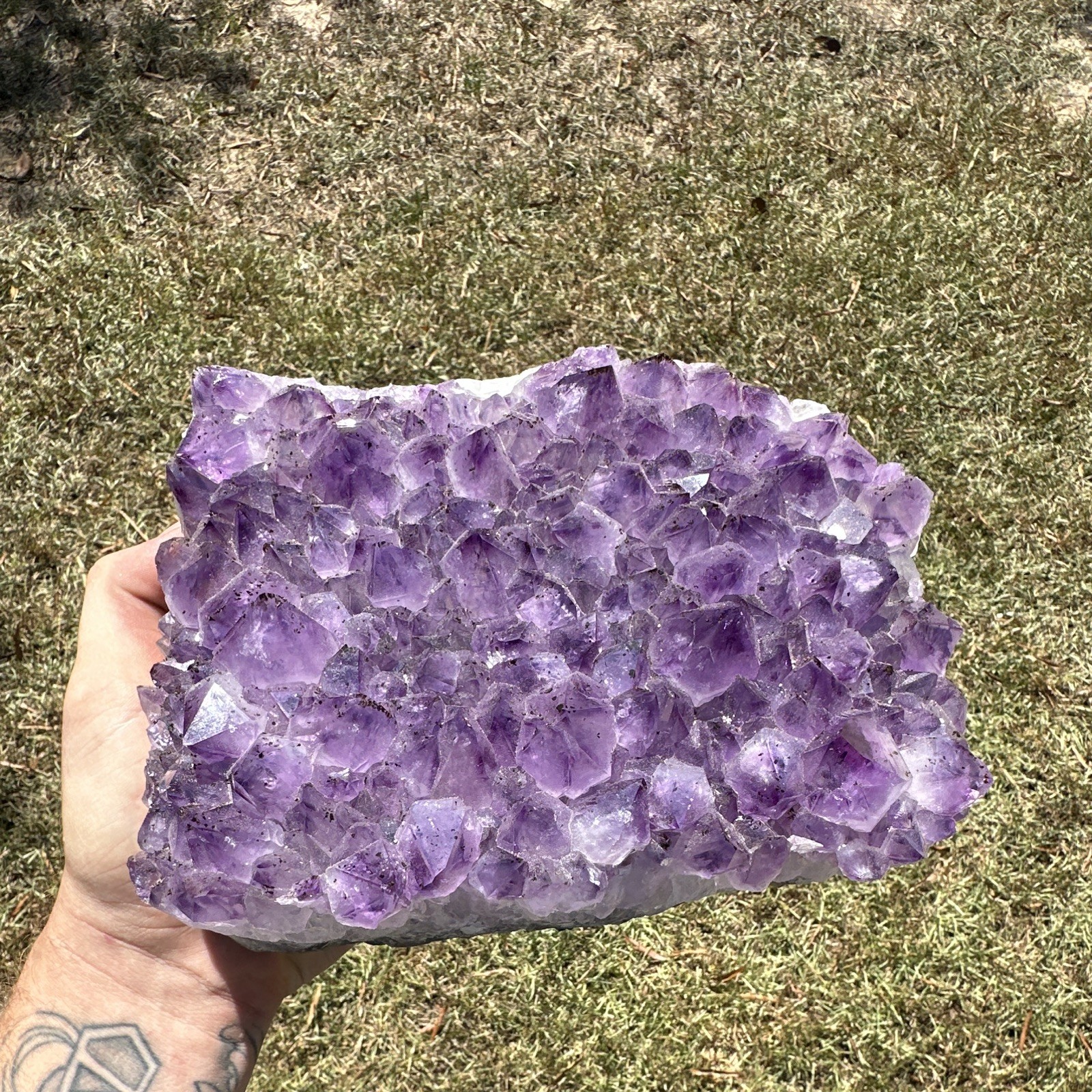 Brazilian Amethyst Cluster 8 Pounds 12 Ounces 8x6x2.5