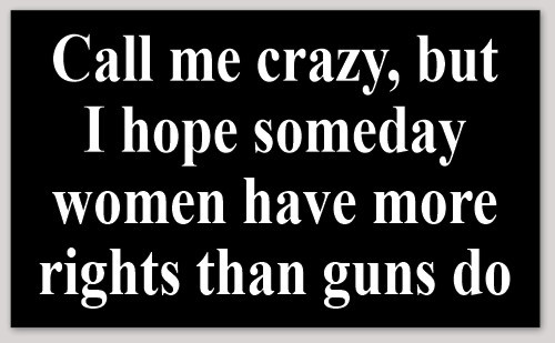 I Hope Someday Women Have More Rights Than Guns Do 3x5 Vinyl Sticker Decal
