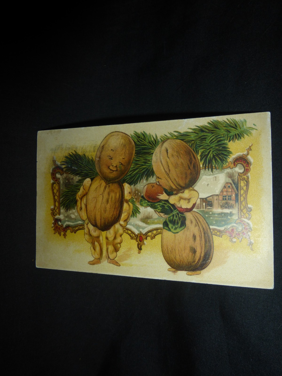 Halloween Postcard-FANTASTIC CARD HTF ADORABLE FAMILY OF WALNUTS