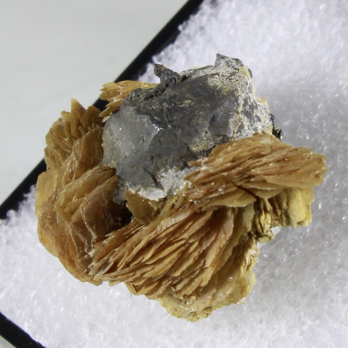 Rare ARGENTITE & BARITE - Jáchymov, Czech Republic (CSSR Label)