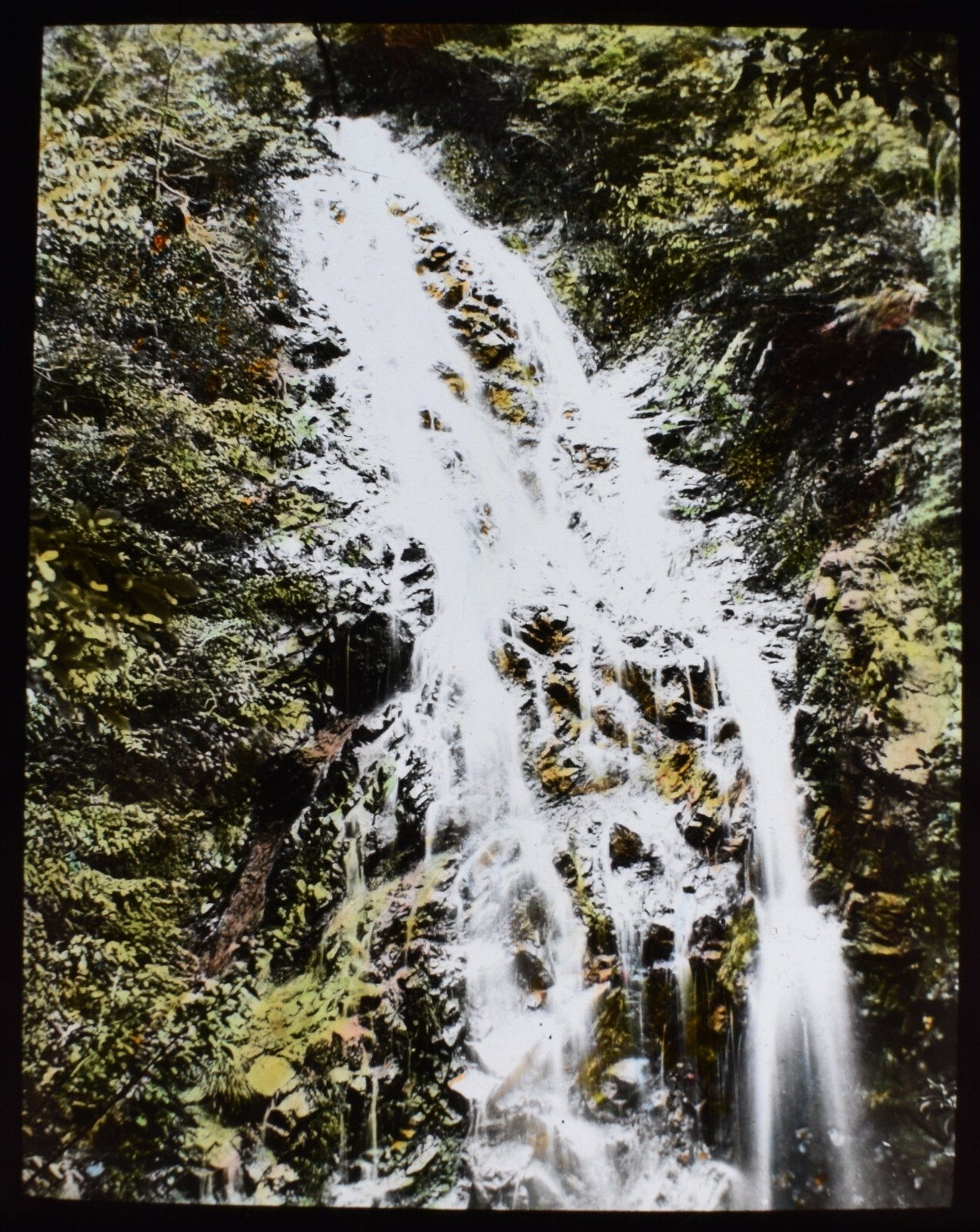 ANTIQUE Magic Lantern Slide SPIDERS WEB WATERFALL C1910 PHOTO