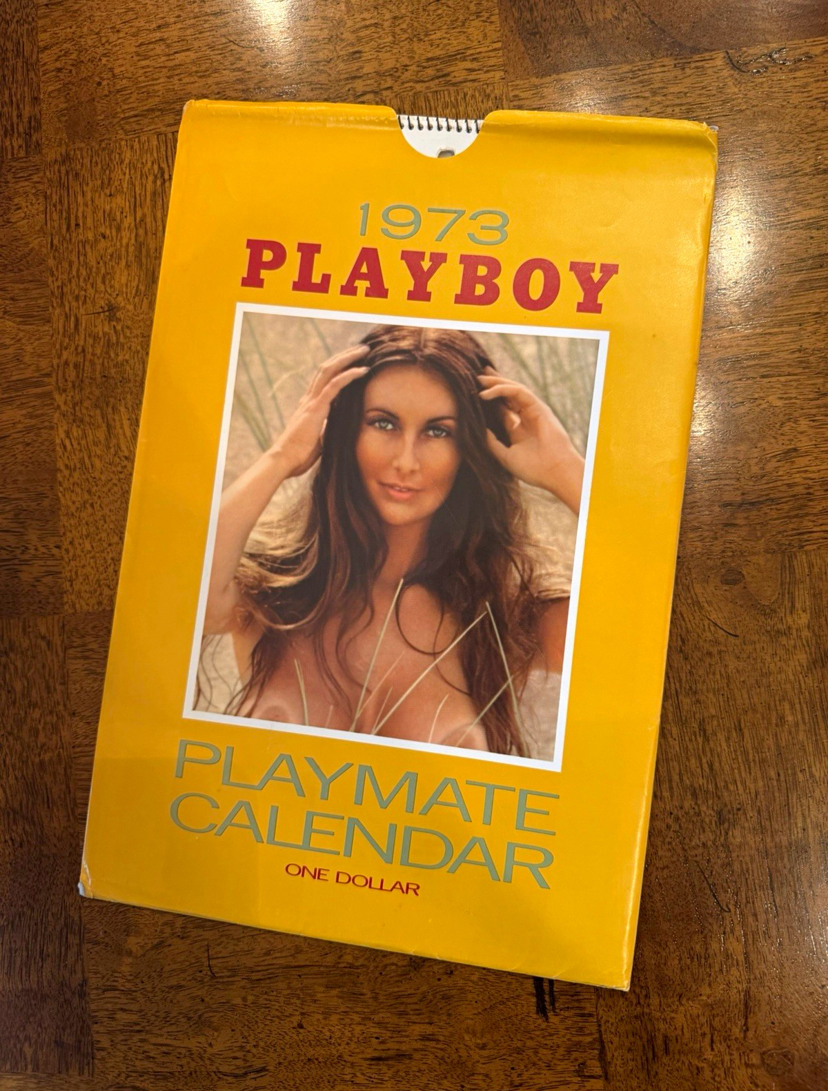 1973 Playboy Playmate Calendar - Playboy Playmate Calendar 1973