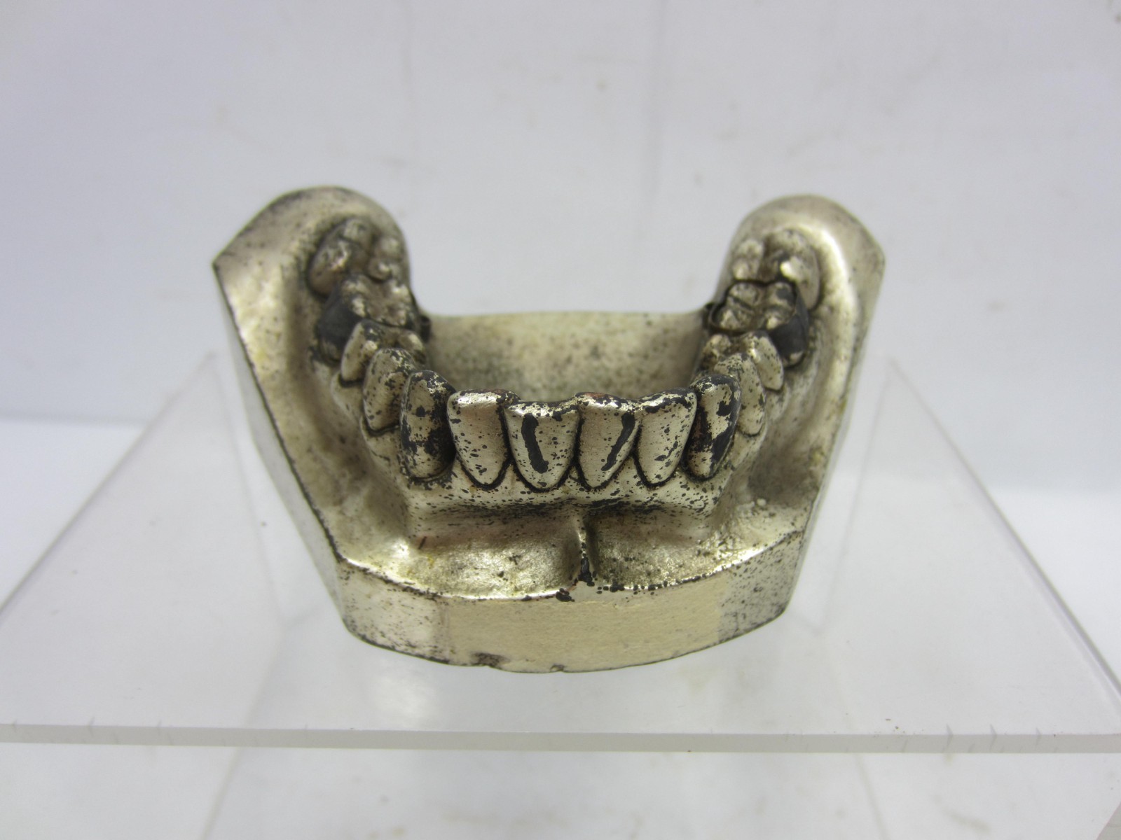 Vintage Denta-Form by Columbia Lower Jaw Mold for Dental Phantom??