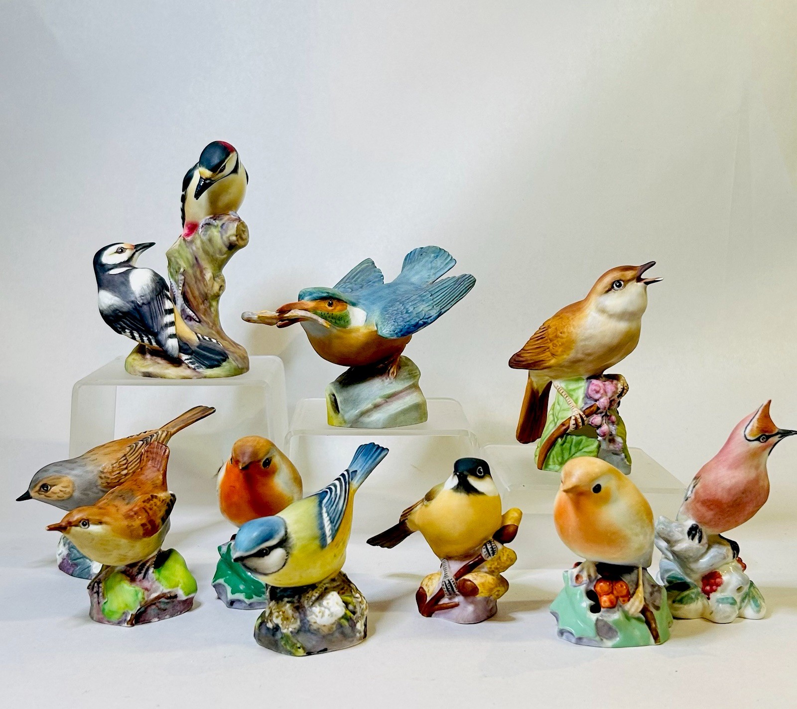 10 Vintage Royal Worcester Fine Bone China English Garden Bird Figurines VGC