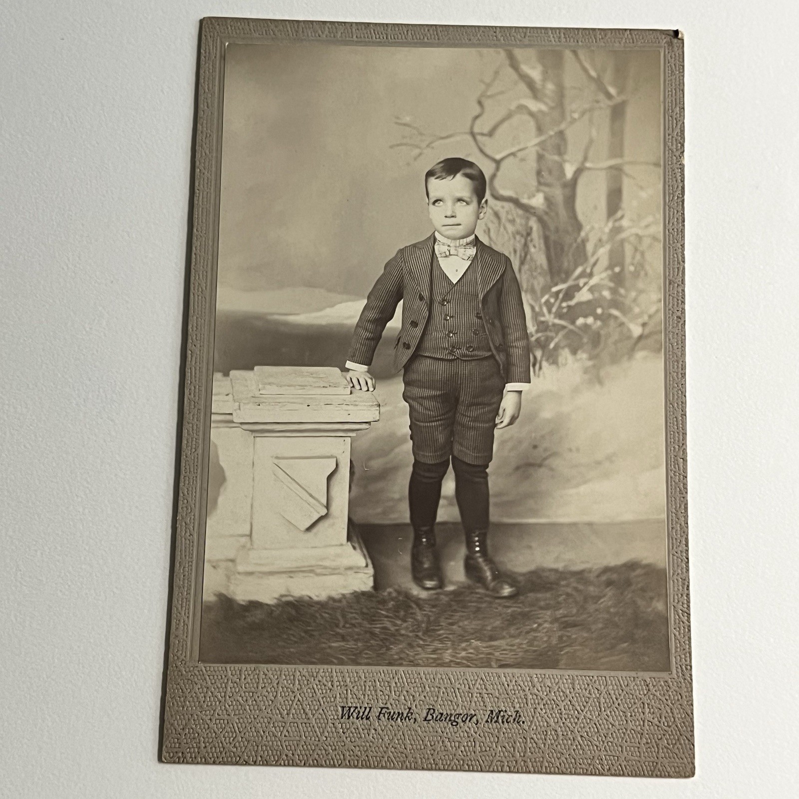 Antique Cabinet Card Photograph Adorable Little Boy Winter Backdrop Bangor MI