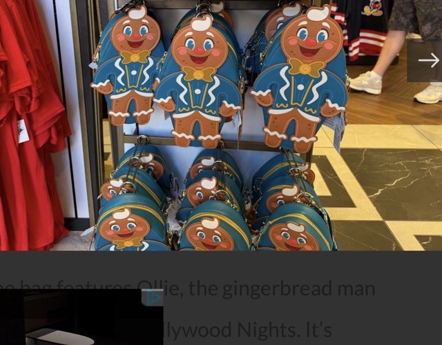Hollywood Studios Bollywood Night 2025 Ollie Bag