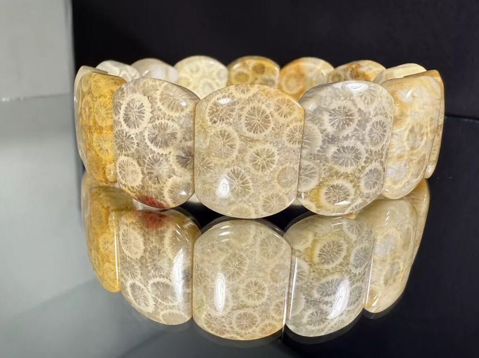 HIGH GRADE NATURAL CORAL FOSSIL BRACELET/ VARIOUS FLOWERS PATTERN