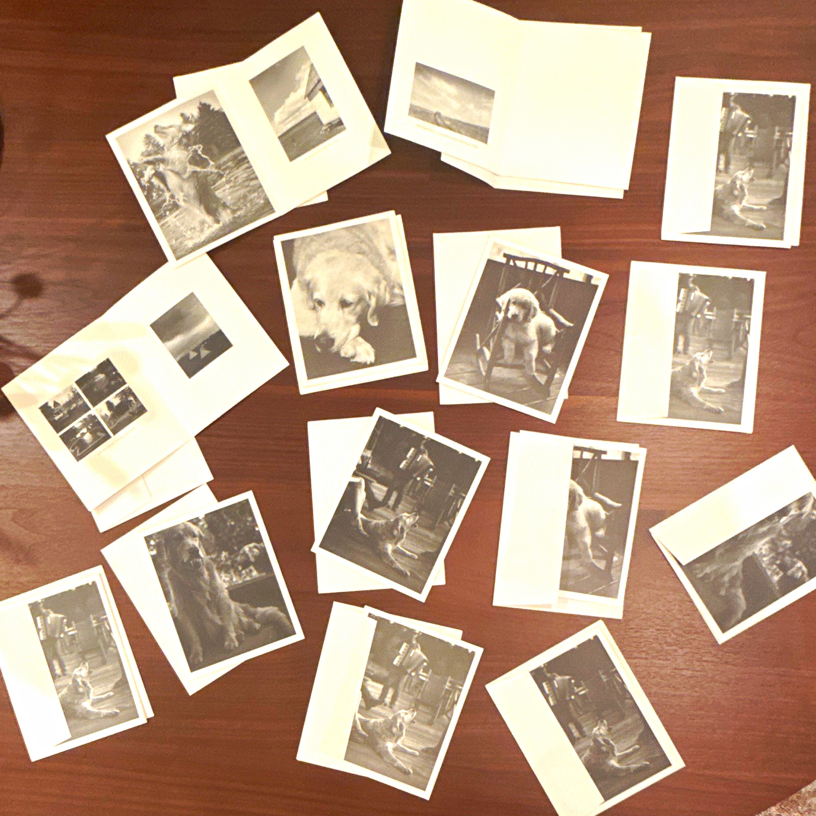 Rare Bruce Weber Cards with Envelopes - Various Sides Shown Lot of 14