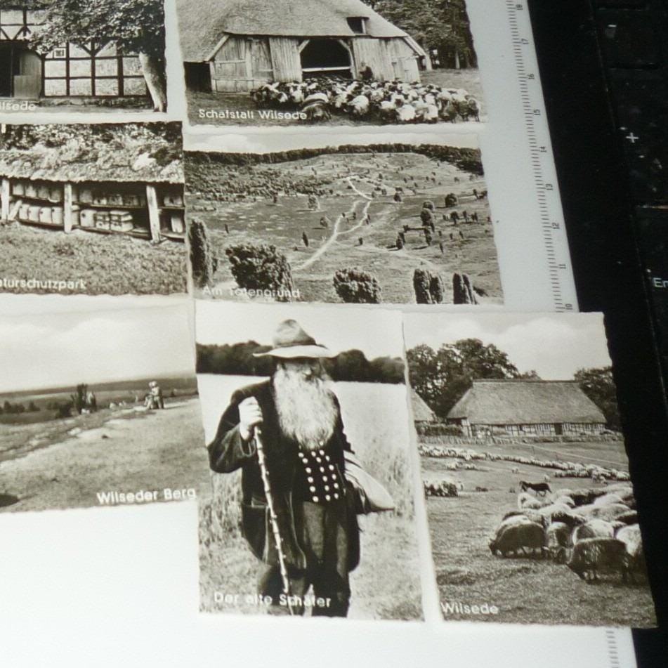 Lot of 13 MINIATURE Vintage German Postcards Lüneburger Heide Tiny 1.5x2.5