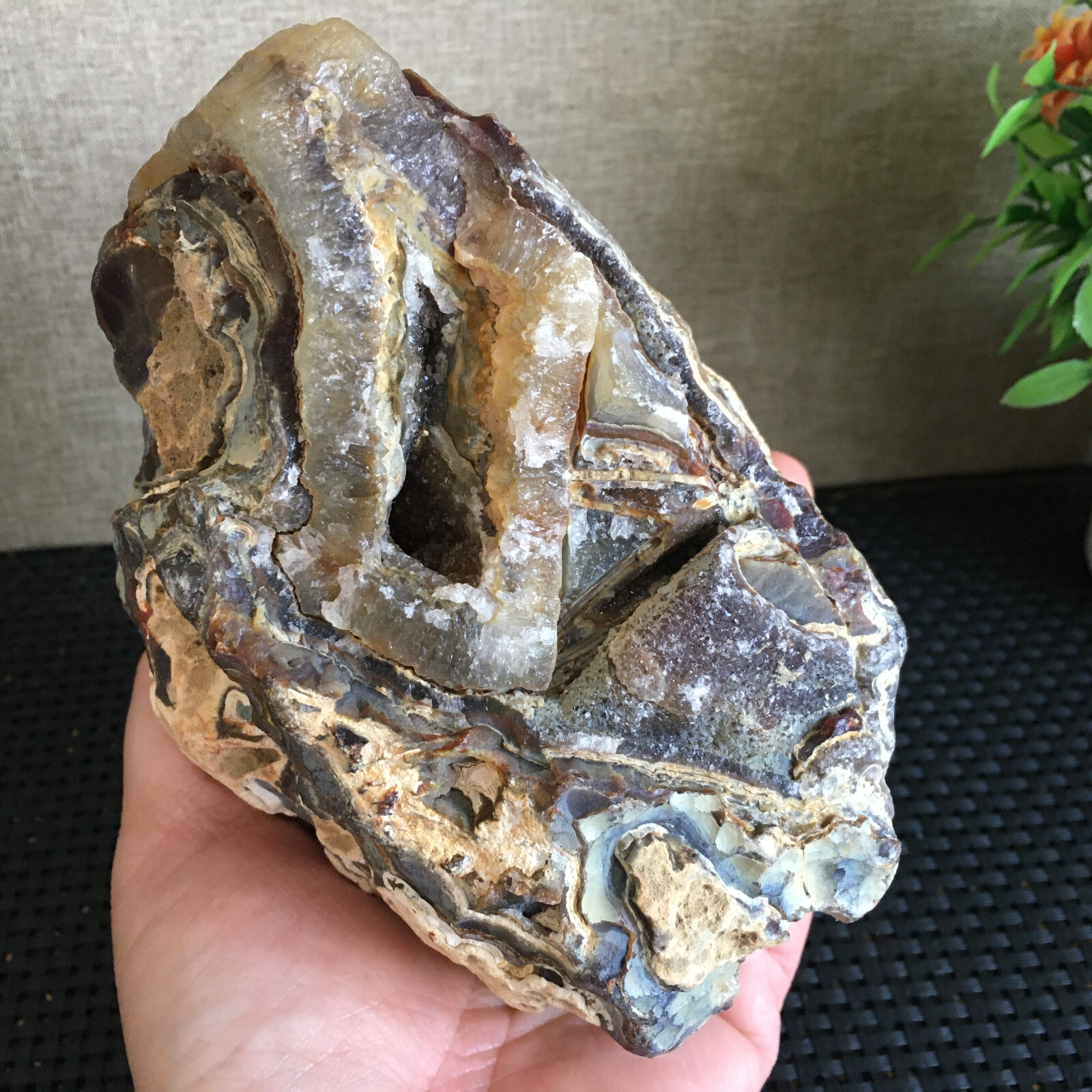 1165g Bonsai Suiseki-Natural Gobi Agate Eyes Stone-Rare Stunning Viewing fd144
