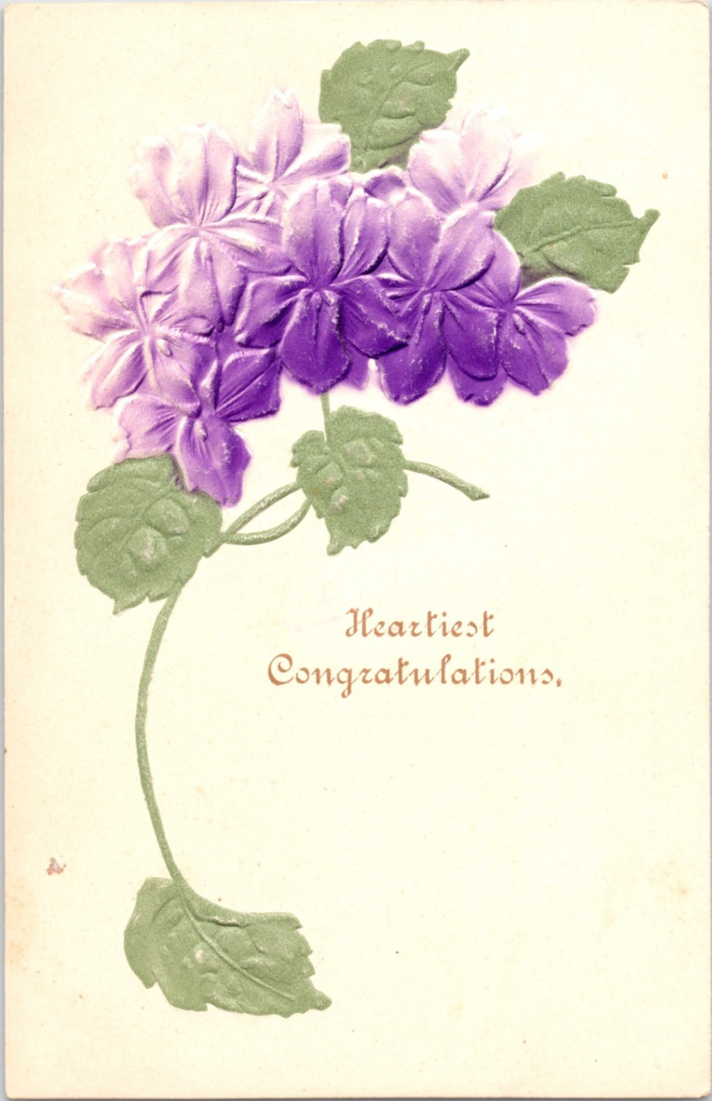 Vintage Embossed Floral Postcard Heartiest Congratulations Made in Germany 1907