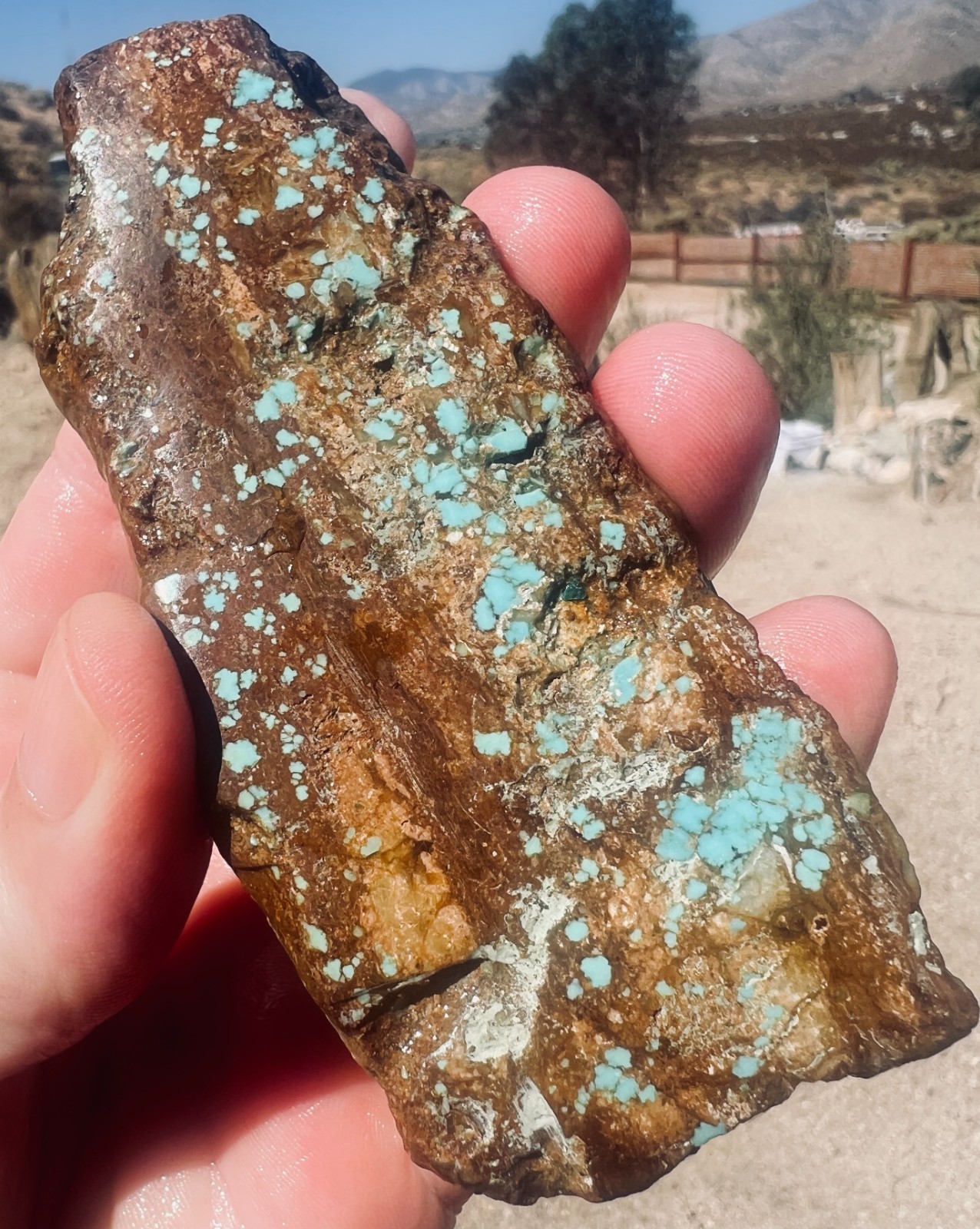 Genuine Old# 8 Turquoise Birds Eye Blue Lapidary Slab 615cts