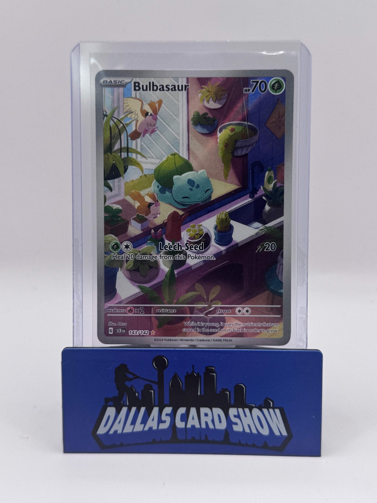 2024 Pokemon - Bulbasaur (Illustration Rare) - 143/142 Stellar Crown NM