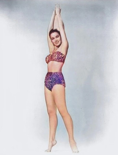 Kathie  Lee  Gifford  Sexy Glossy Print New  8x10 photo - 63846