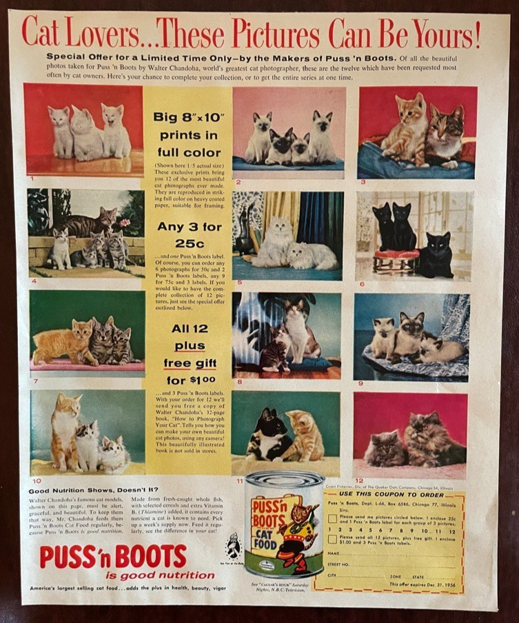 1956 PUSS n' BOOTS Cat Food Vintage Print Ad