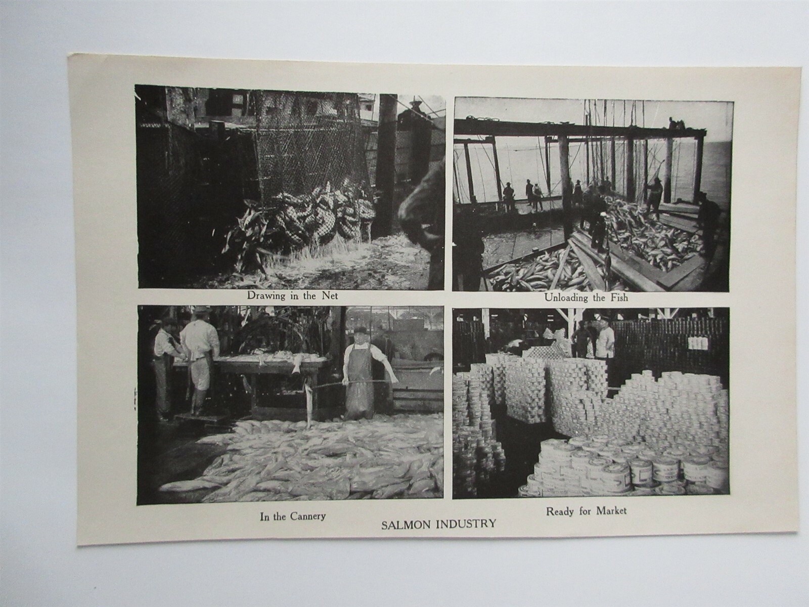 Salmon Industry vintage photo print 9\