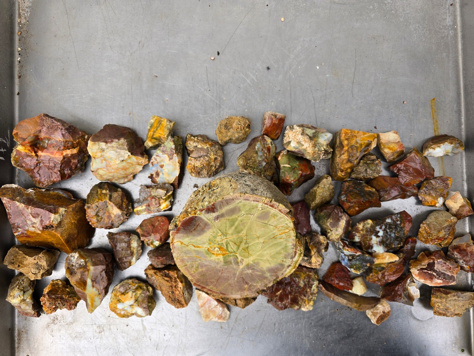 (OOAK) EXQUISITE ROUGH SPECIMENS FROM OPAL BUTTE MINE, MORROW, COUNTY, OREGON