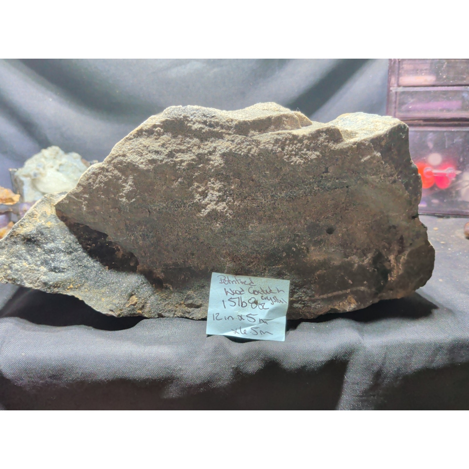 15lb 8oz Petrified Wood w/ Crystallization Specimen Natural Form