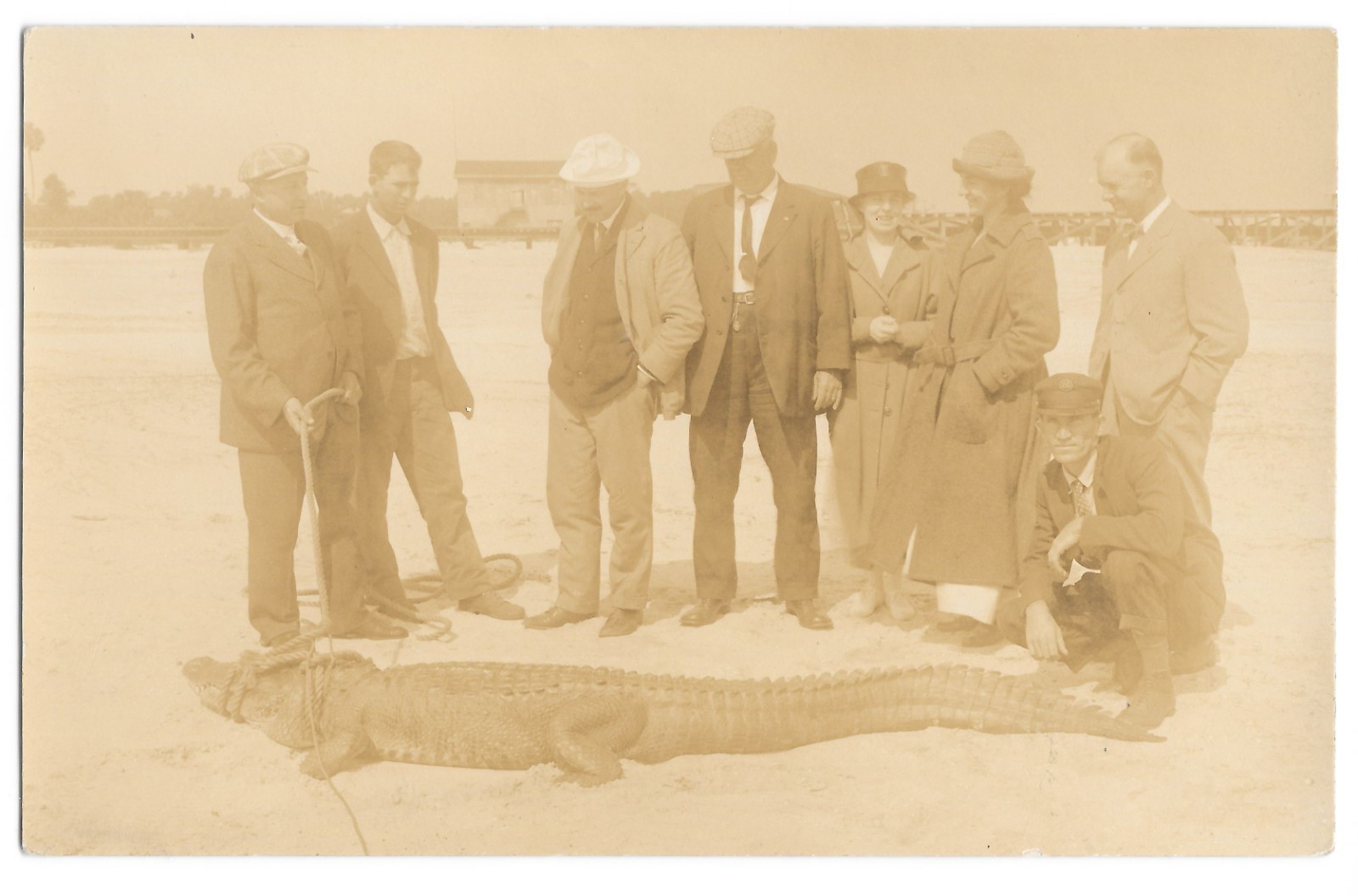 RPPC Group w/ Large Alligator Roped Sanford FL c1918 Real Photo Postcard