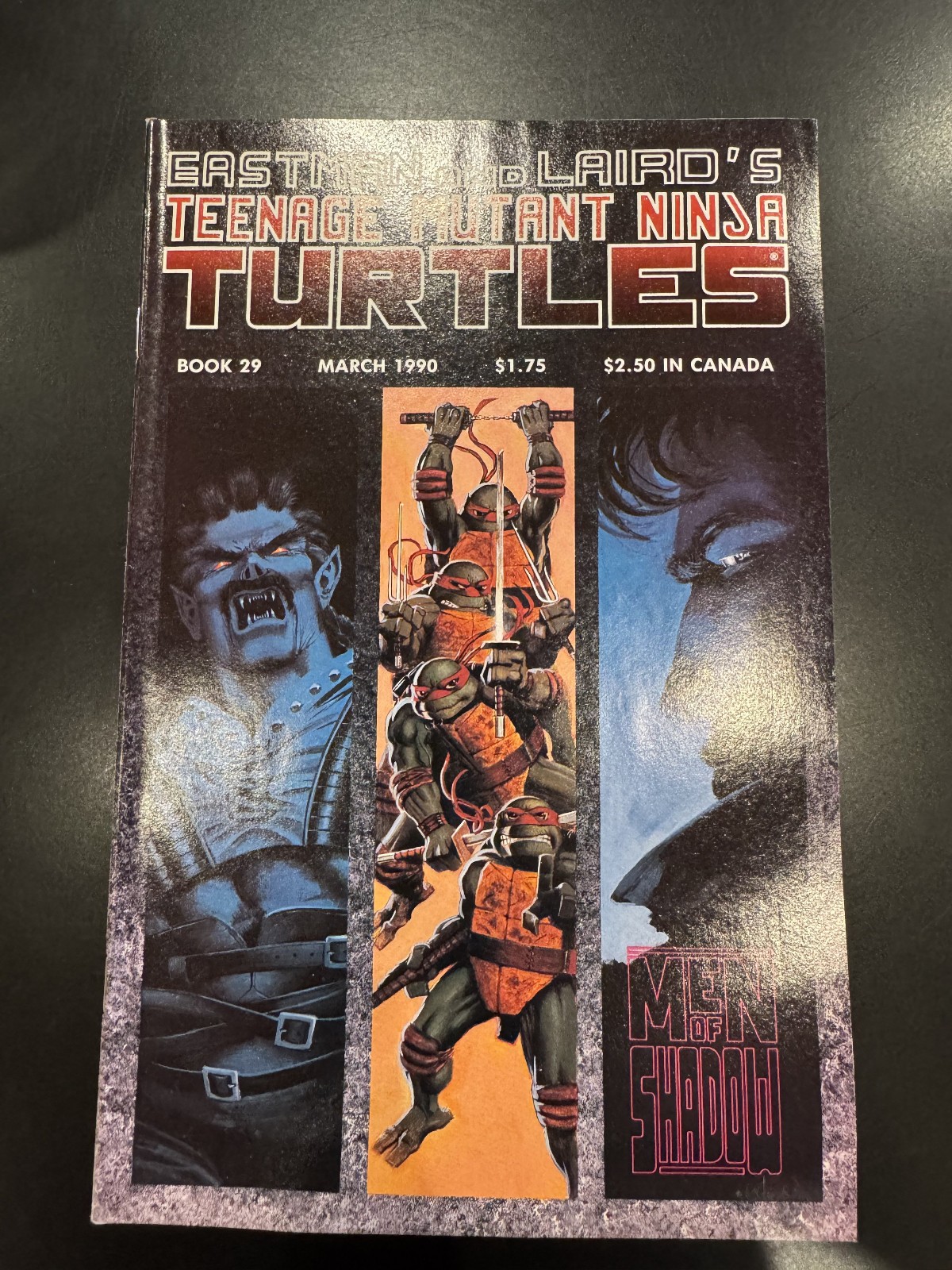 Teenage Mutant Ninja Turtles #29 (Mirage Studios March 1990)