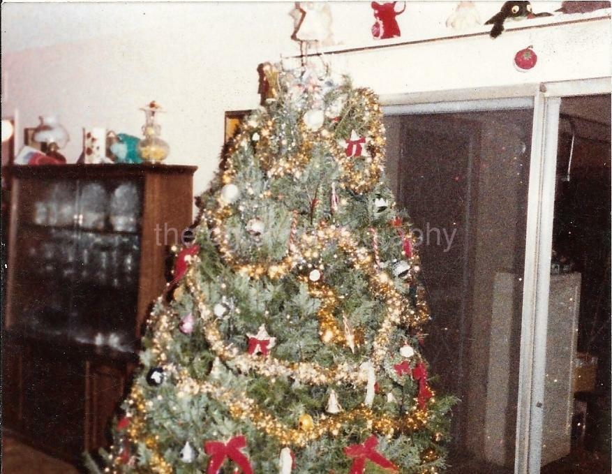 CHRISTMAS TREE Found PHOTOGRAPH Color  Original Snapshot 04 26 E