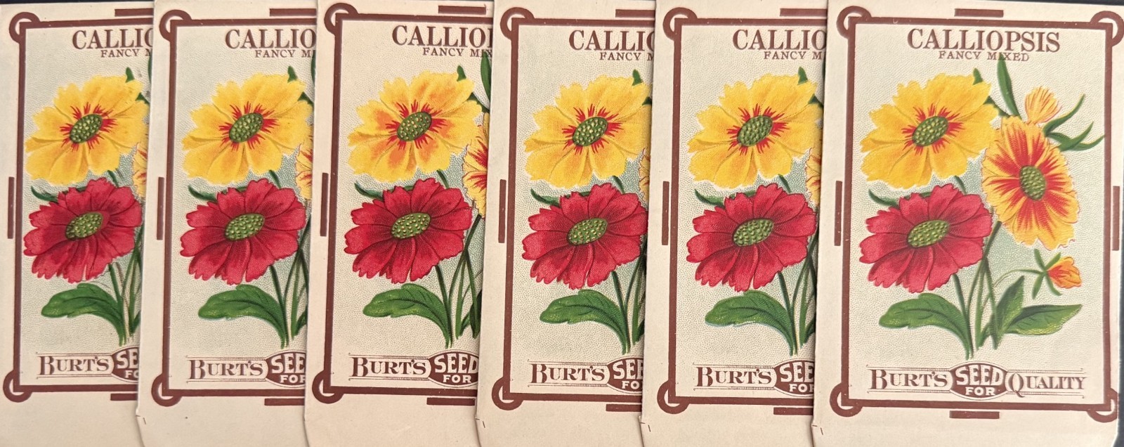 Antique c-1915 Lot of Six (6) Stone Lithograph Burt\'s Seed Packets “NOS”