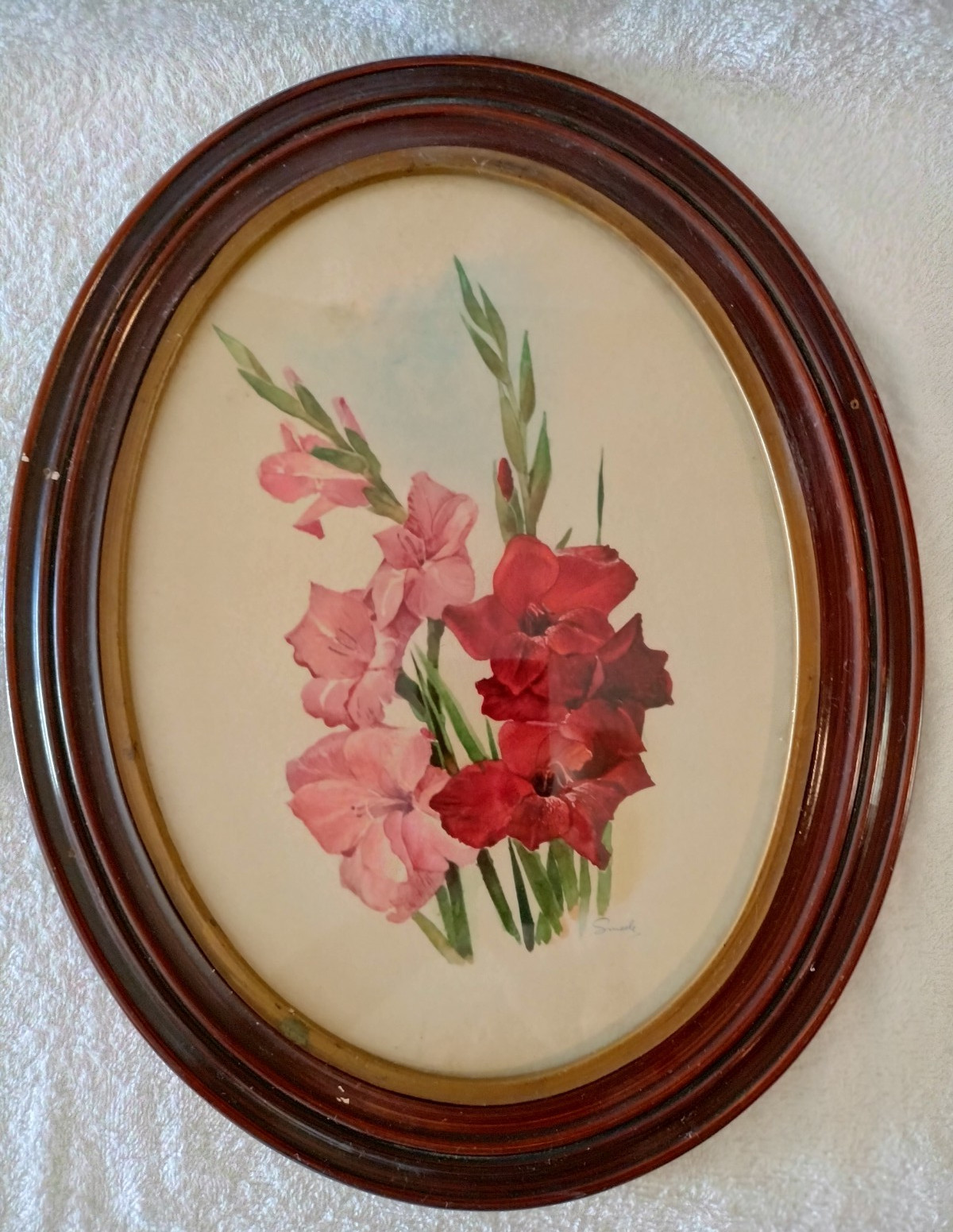 Vintage Oval Framed Print Red and Pink Gladiolus 14.5 x 11.5 Inches