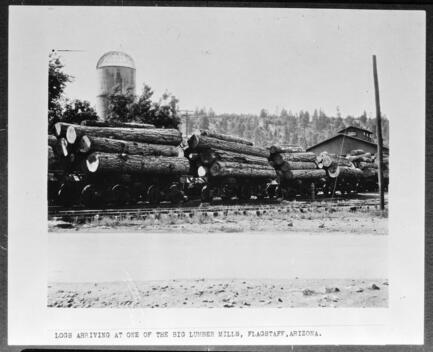 Logs Arriving At An Unidentified Lumber Mill Possibly The Spauldi - Old Photo