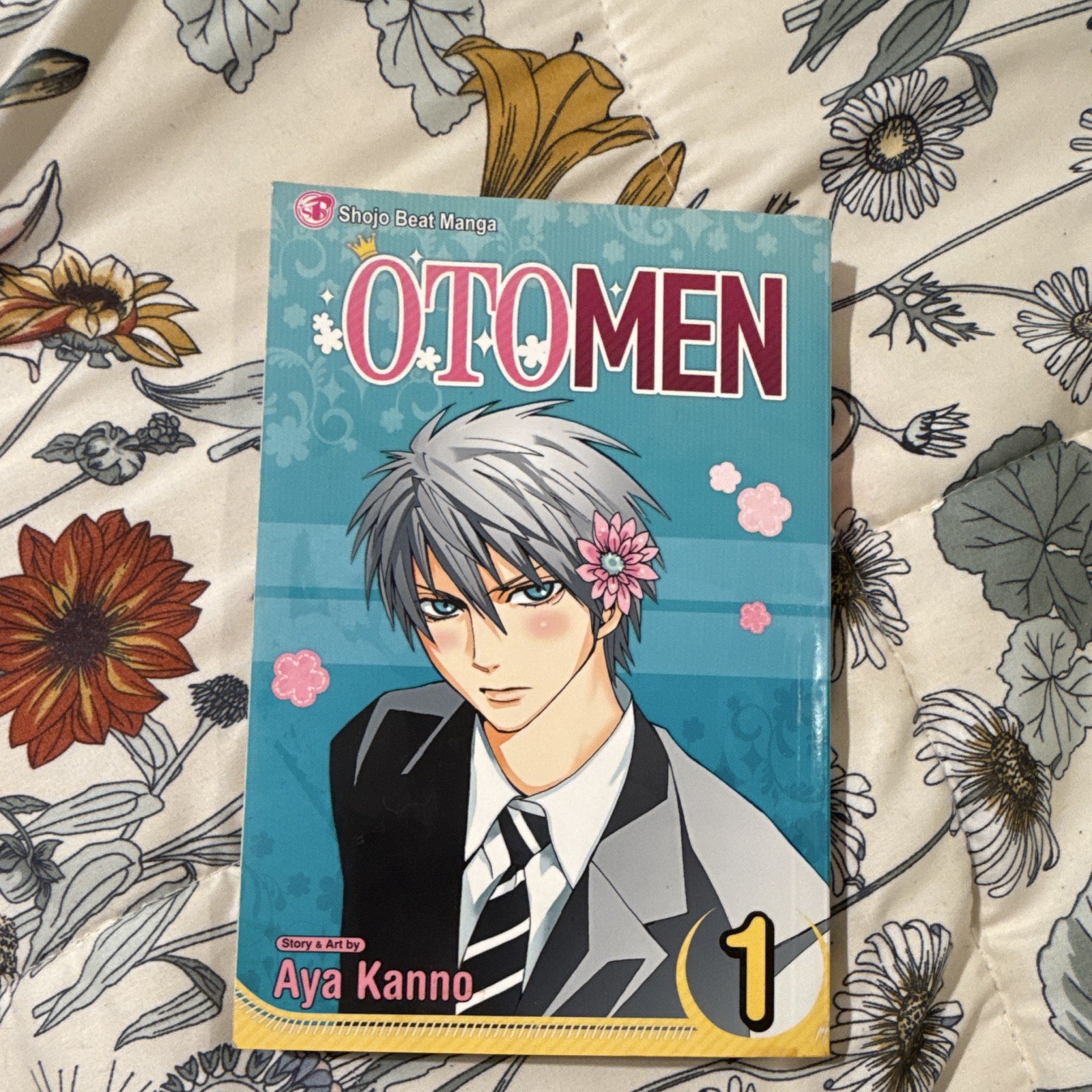 Otomen Vol. 1 Manga Graphic Novel by Aya Kanno, VIZ Media, Softcover English