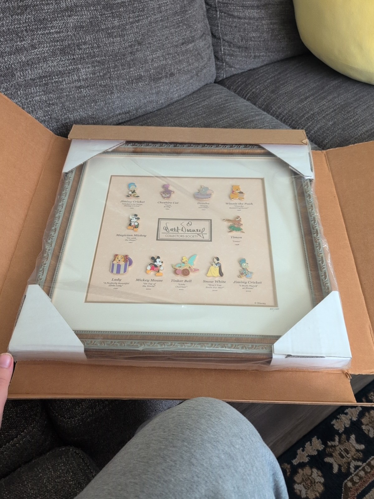 Walt Disney Collectors Society 'A Decade of Dreams' Limited Edition Pin Set