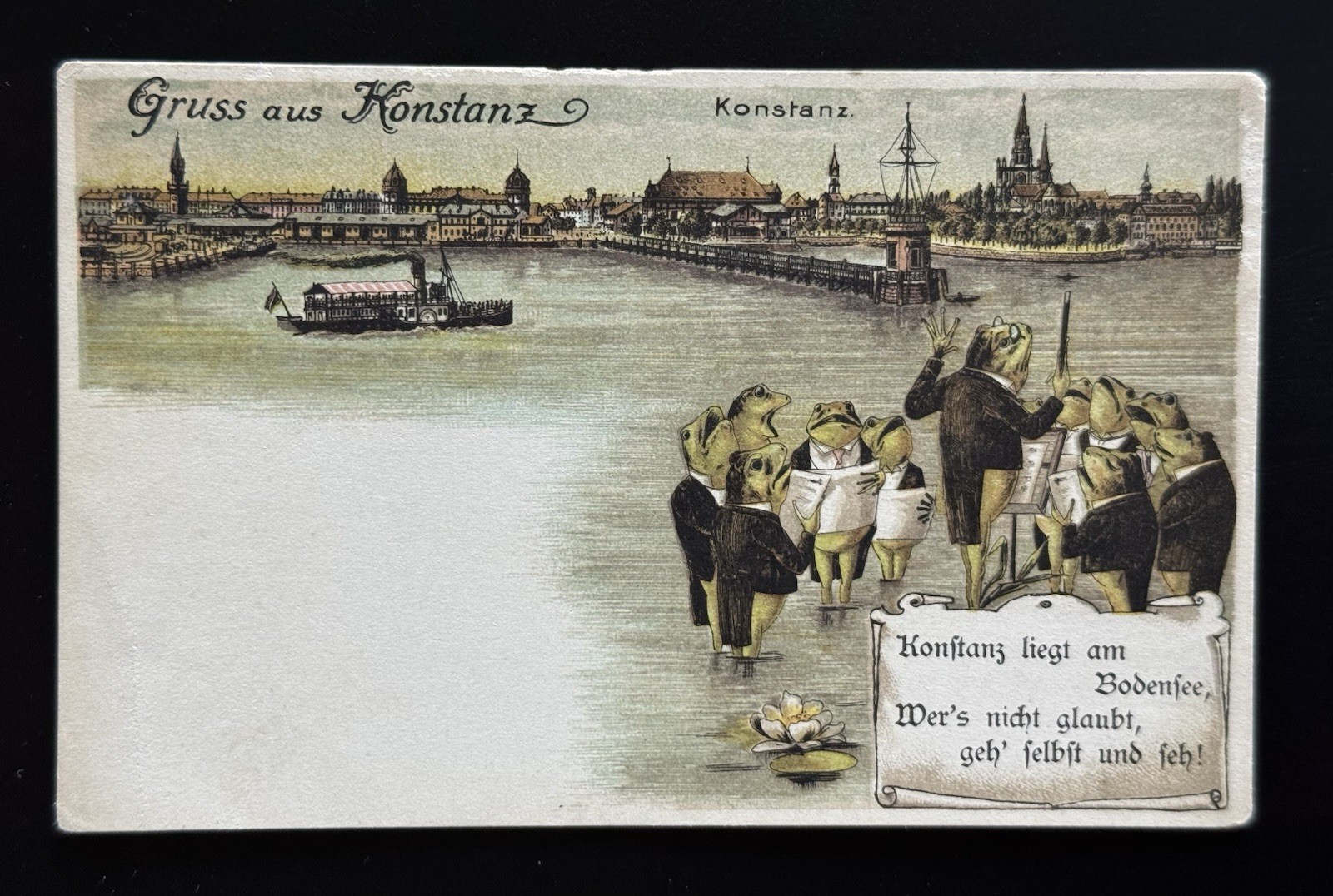 Germany, Konstanz, View, Singing Frogs, Vintage Litho Postcard (918) Unposted