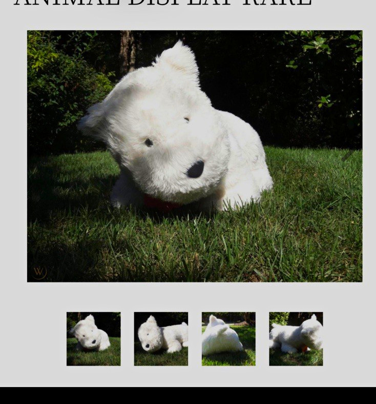 American Girl Coconut Westie Plush Dog Stuffed Animal Huge Jumbo