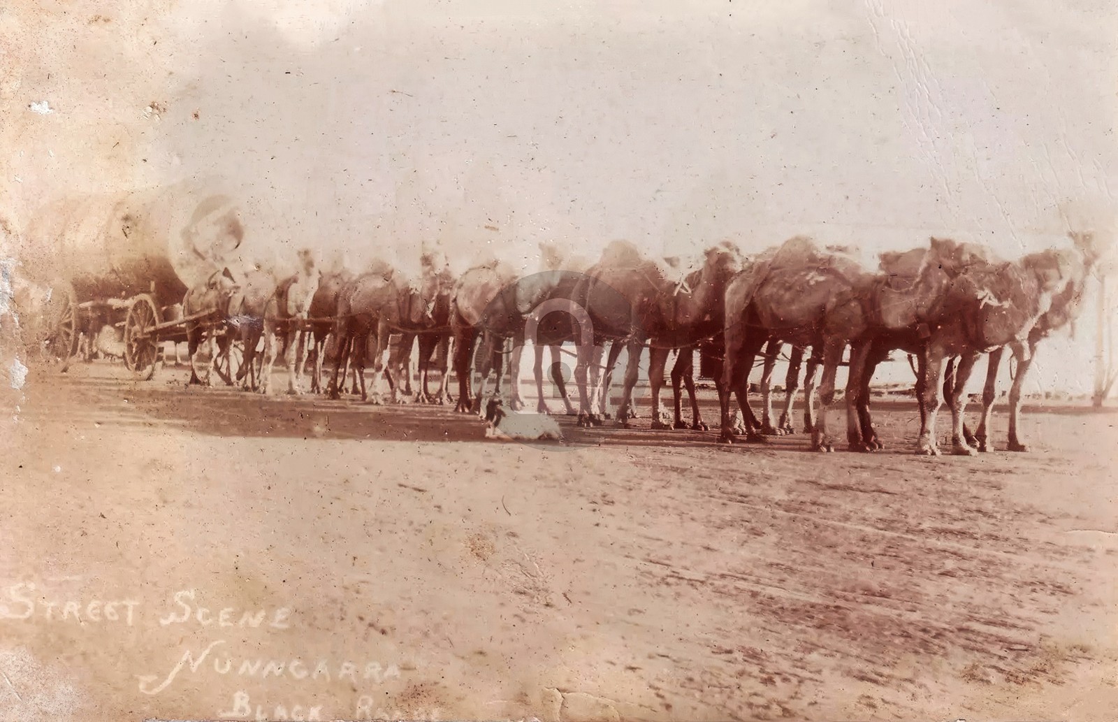 Black Range Western Australia Nunngarra Street View c1909 RPPC Postcard COPY