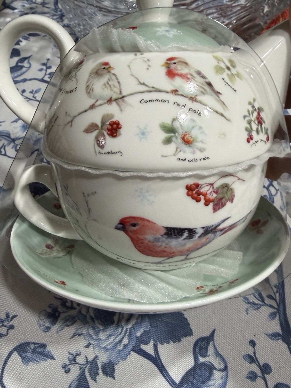 Grace Teaware Tea for One Set Birds Floral Porcelain Teapot Cup Saucer-new