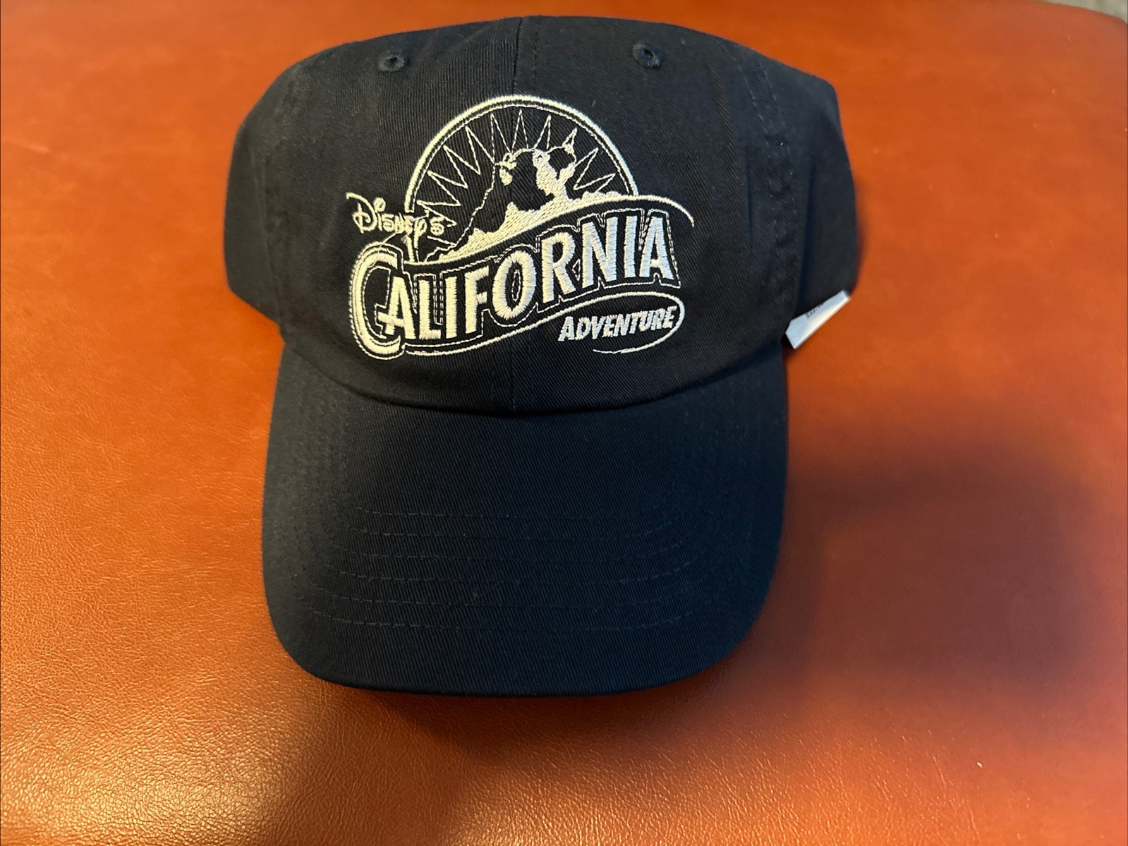 2026 Disneyland California Adventure Grizzly Peak Ferris Wheel Hat Baseball Cap