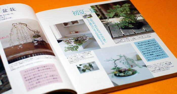 Japanese MINI SMALL BONSAI PHOTO BOOK by KAORI YAMADA from Japan rare #0015